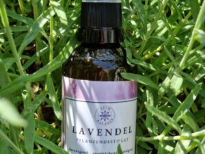 Bio Lavendel Pflanzendestillat